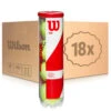 Wilson Team W Practice 18x 4 Ball Tube In A Box -Wilson Store 0157800000 000