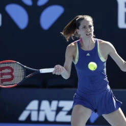 Wilson Natural Gut String Set 12,2m -Wilson Store 02009000 62