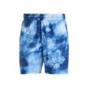 ADIDAS Melbourne Ergo Graphic Shorts Men -Wilson Store 17962000 000